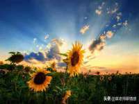徐州奥格斯商贸有限公司