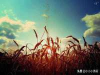 徐州奥格斯商贸有限公司