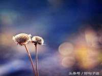 徐州奥格斯商贸有限公司