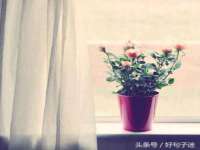 徐州奥格斯商贸有限公司