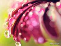 徐州奥格斯商贸有限公司