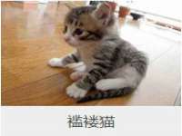 徐州奥格斯商贸有限公司