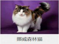 徐州奥格斯商贸有限公司