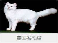 徐州奥格斯商贸有限公司