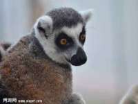 徐州奥格斯商贸有限公司