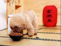 徐州奥格斯商贸有限公司