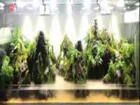 徐州奥格斯商贸有限公司