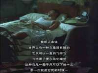 徐州奥格斯商贸有限公司