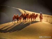 徐州奥格斯商贸有限公司