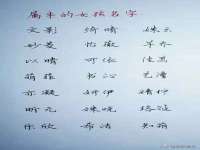 徐州奥格斯商贸有限公司
